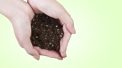 Improvement of fertile soil